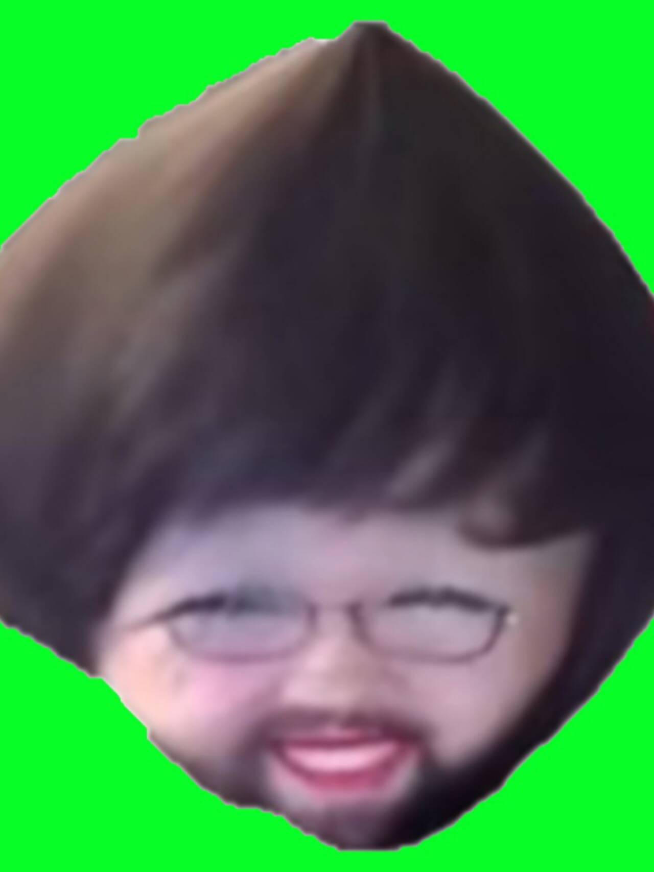 Lilium formosanum var pricei.jpg